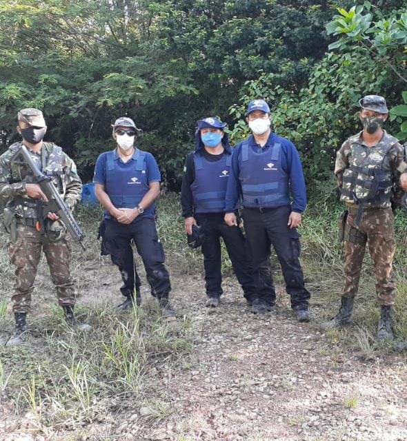 Release semanal 7 8 2020 1