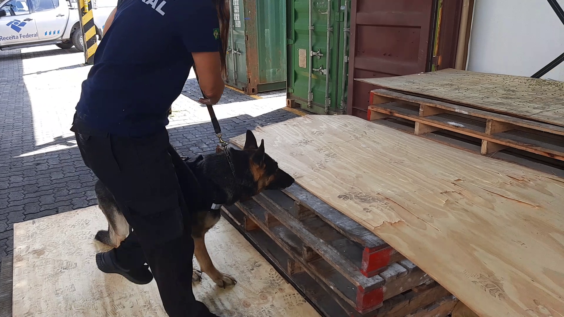 Receita Federal Contêiner de café cru 558kg Cão de faro