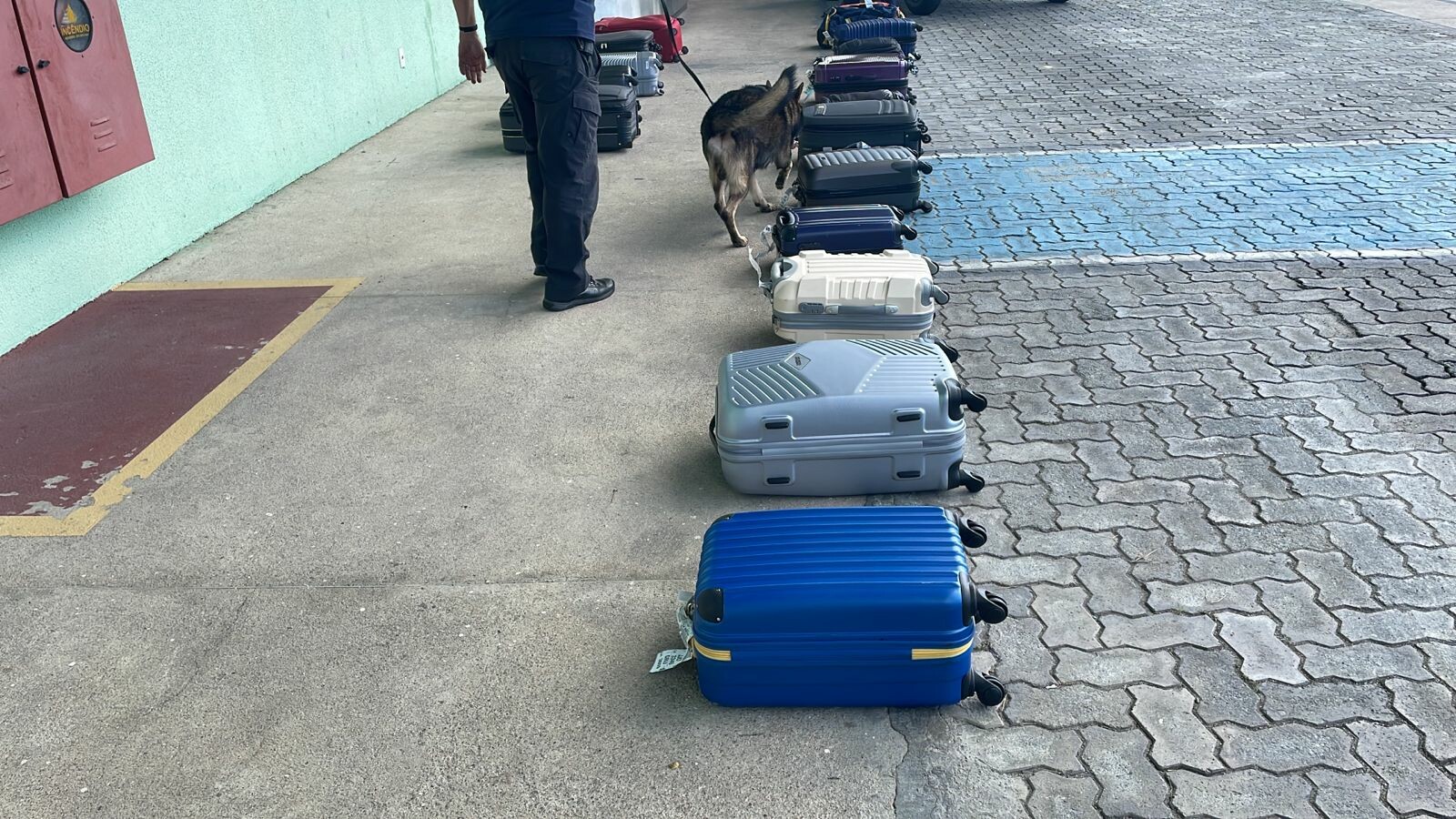 Analistas Tributários da RFB atuam na apreensão de skunk no Aeroporto de JericoacoaraCE 4