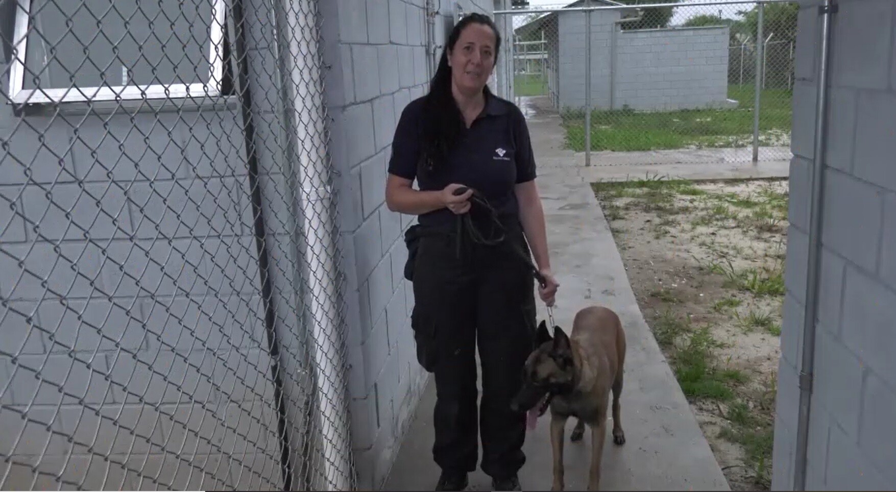 Em vídeo, RFB destaca chegada de agente canina ao Aeroporto de Guarulhos/SP 