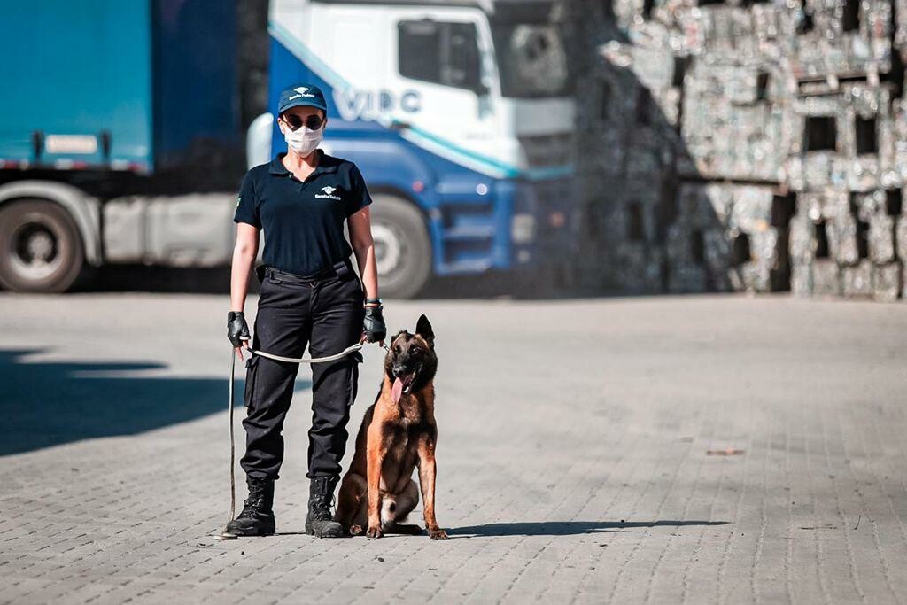 Há 13 anos criava se o Centro Nacional de Cães de Faro da Receita Federal do Brasil CNCF K9 3