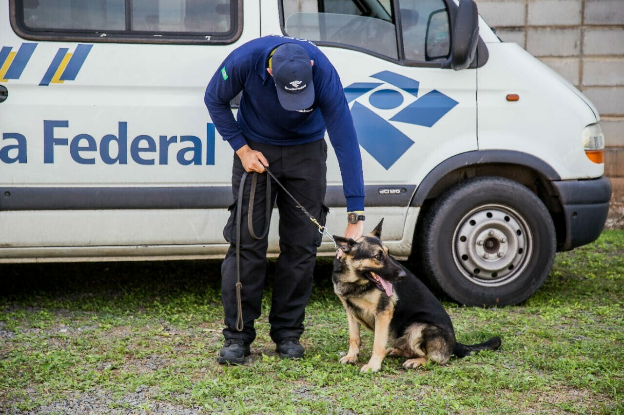 Há 13 anos criava se o Centro Nacional de Cães de Faro da Receita Federal do Brasil CNCF K9 8