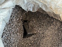 Analistas Tributários da RFB atuam na apreensão de 778kg de cocaína no Porto de Rio de Janeiro 2