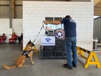 Analistas Tributários da RFB atuam na apreensão de 778kg de cocaína no Porto de Rio de Janeiro 4