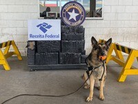 Analistas Tributários da RFB atuam na apreensão de 778kg de cocaína no Porto de Rio de Janeiro 6