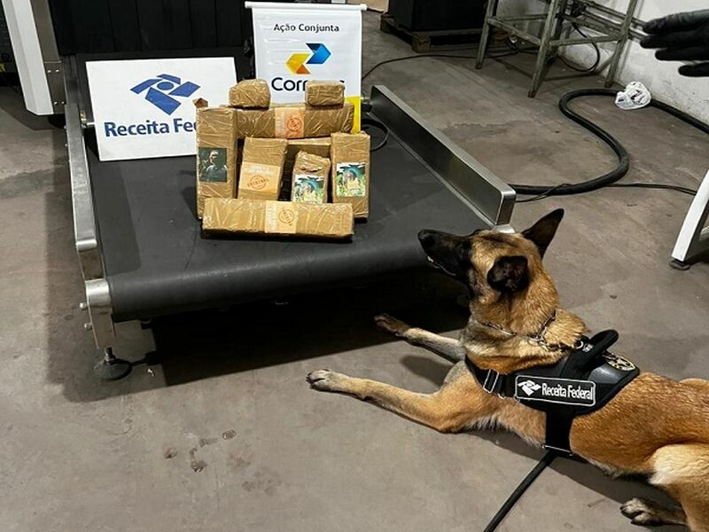 Receita Federal volta a apreender Skunk nos Correios em Belem