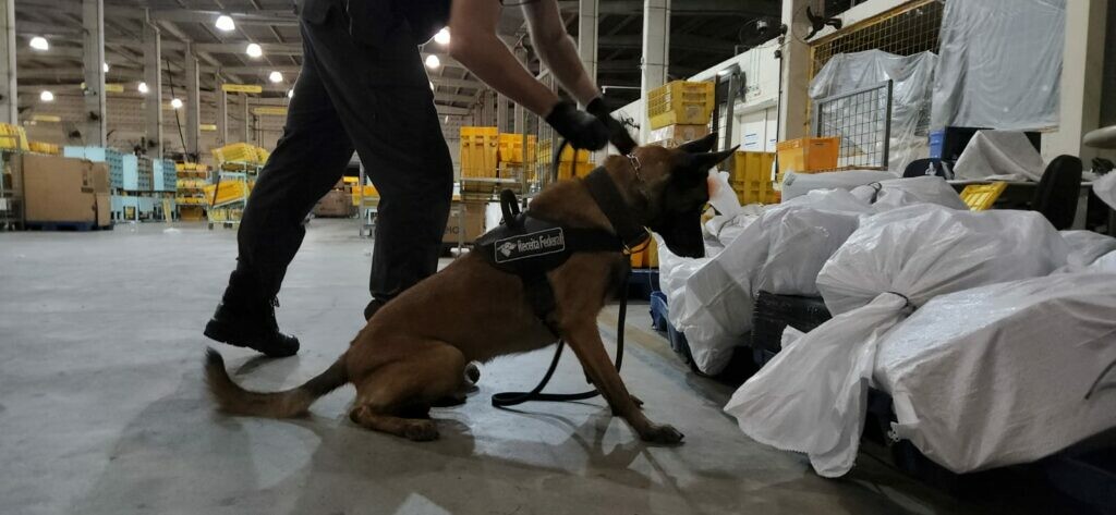Analistas Tributários da RFB atuam na apreensão de cocaína e haxixe e na retenção mercadorias irregulares nos Correios de São LuísMA 2
