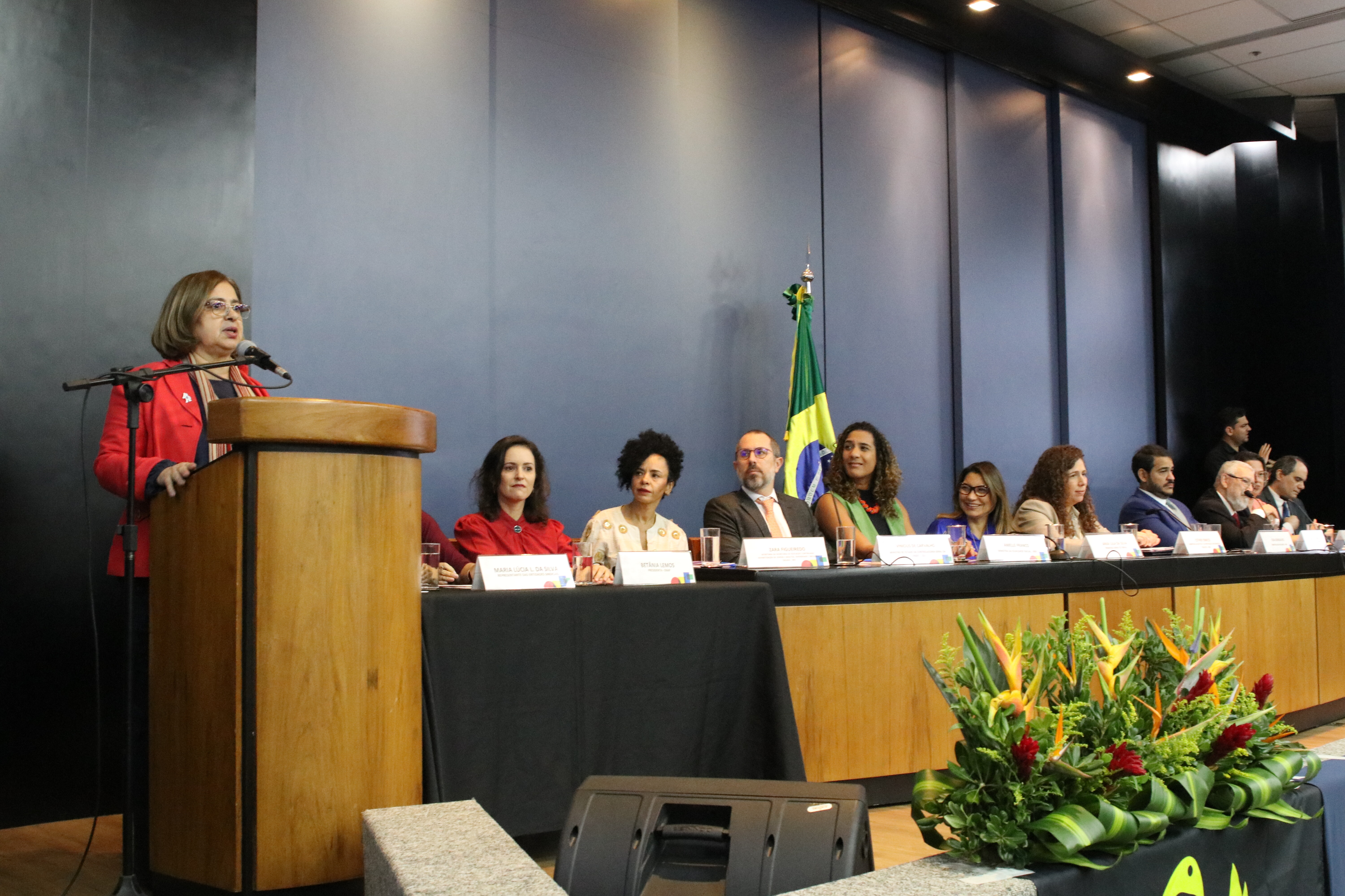 Sindireceita GT Interministerial Cida Gonçalves