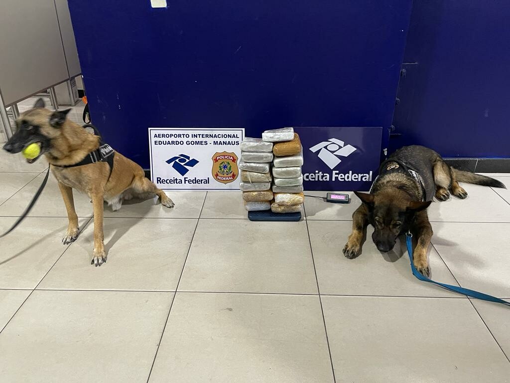 Analistas Tributários atuam na apreensão de 146kg de skunk no Aeroporto de ManausAM 2