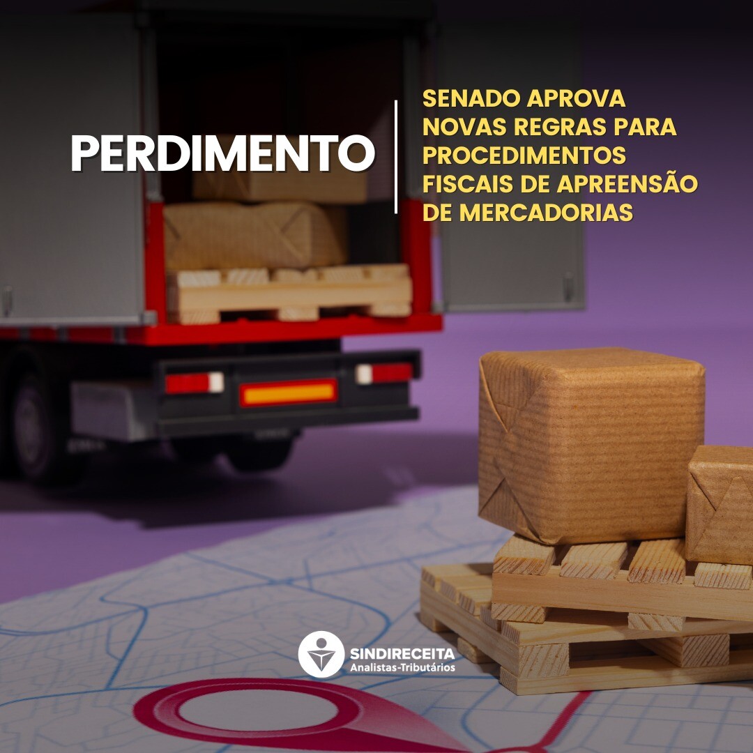 PERDIMENTO: Senado aprova novas regras para procedimentos fiscais de apreensão de mercadorias