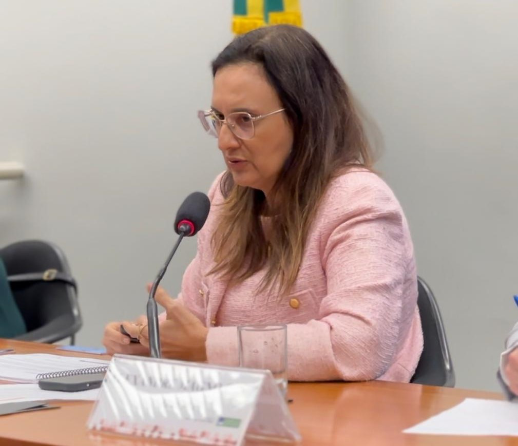 Sindireceita participa de audiência pública na Câmara dos Deputados para discutir o novo regimento da Receita Federal ADRIANA 