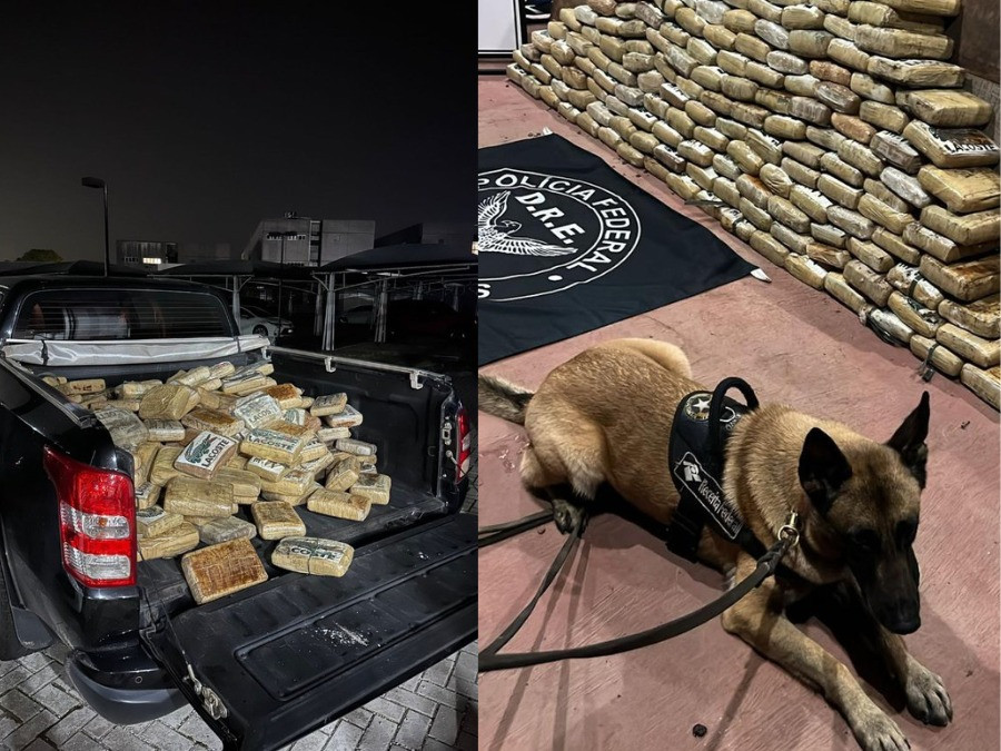 Aduana: Analistas-Tributários da RFB atuam na apreensão de 240 kg de skunk em Belém/PA