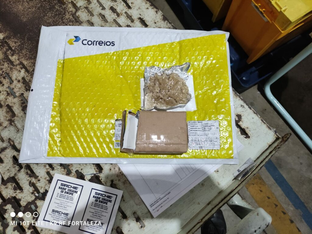 Analistas-Tributários_atuam_na_apreensão_de_drogas_anabolizantes_e_mercadorias_irregulares_na_3ª_Região_Fiscal_2.jpg
