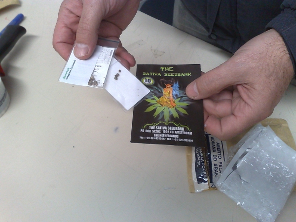 Sementes de maconha encontradas em encomenda