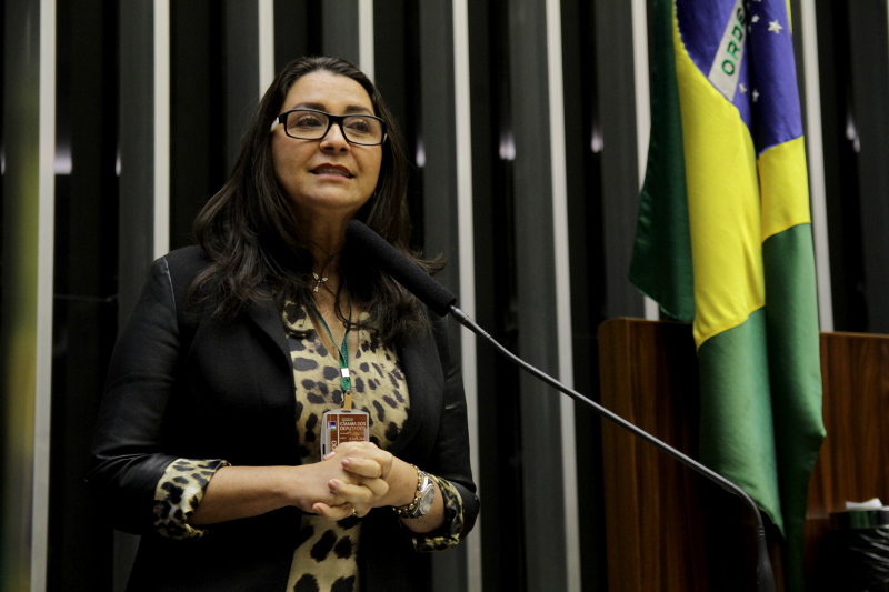 "Mais do que avaliar os desafios do nosso sistema previdenciário, é preciso encarar de forma objetiva a missão de financiar o sistema da seguridade social”, disse Sílvia de Alencar