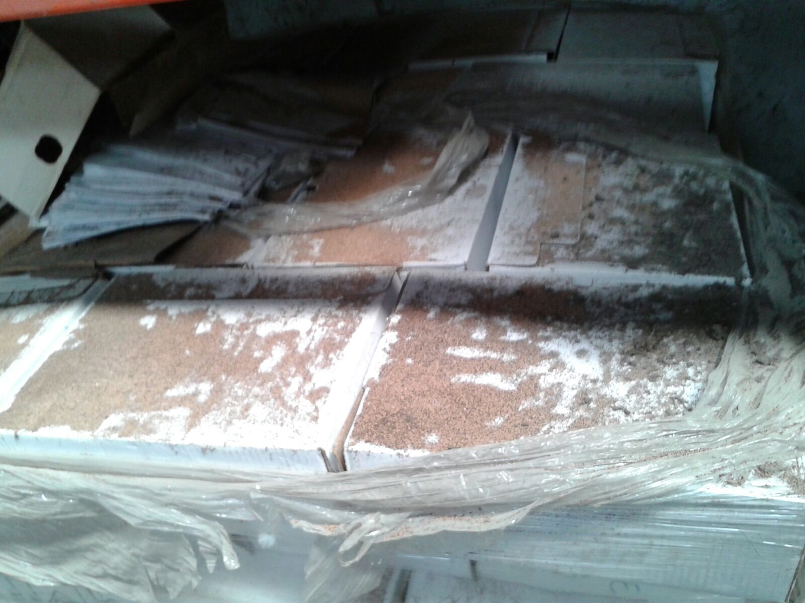 foto8