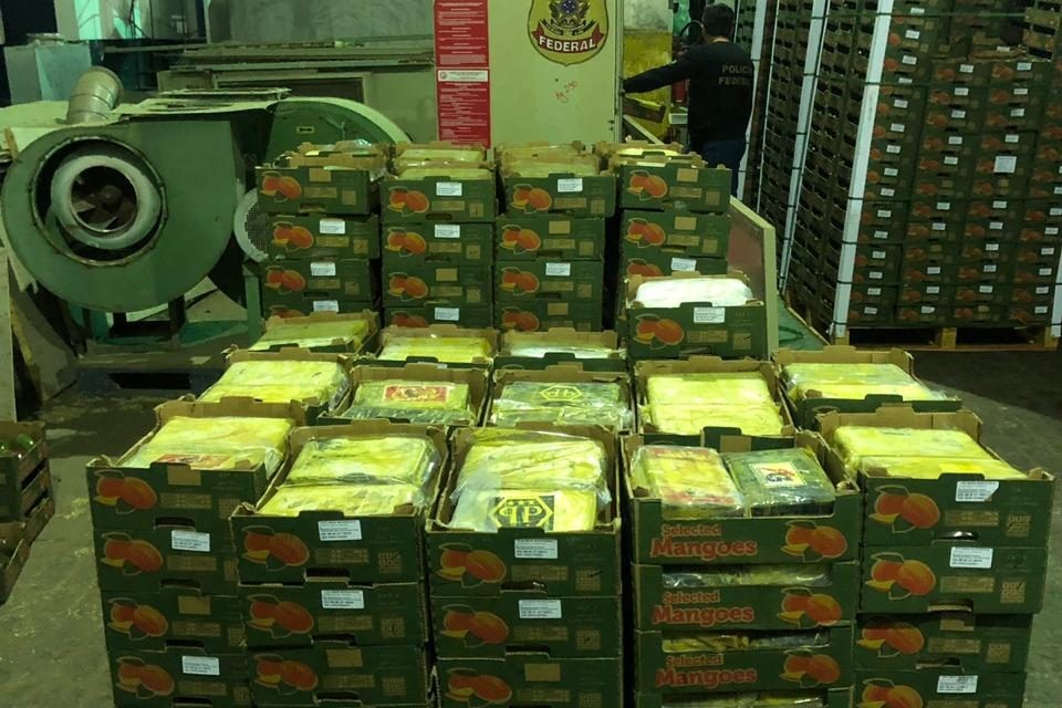 Analistas Tribut rios apreens o de coca na no Porto de Natal 1