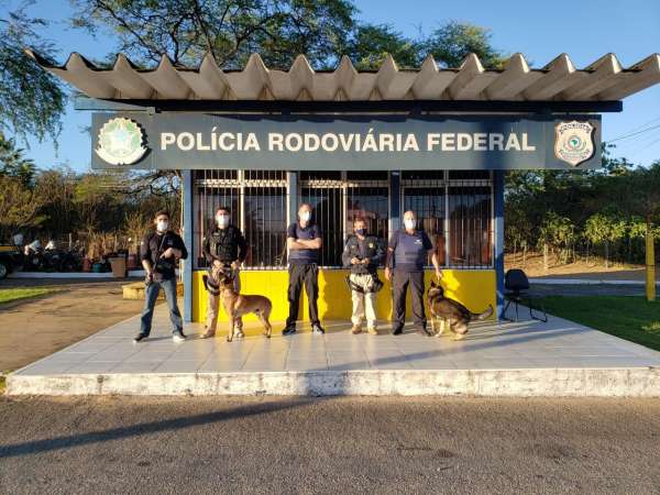 Pol cia Civil PRF e Receita Federal realizam blitz de combate ao tr fico de drogas em Aracati 4 600x450